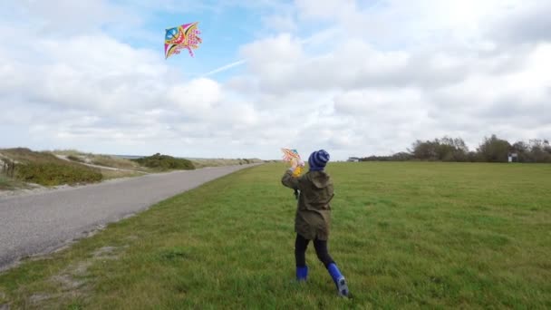 北ドイツのバルト海沿岸で凧揚げをして遊んでいる2人の子供 — ストック動画