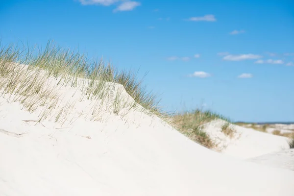 Foto Dunas Praia Areia Branca Costa Alemã Mar Báltico — Fotografia de Stock