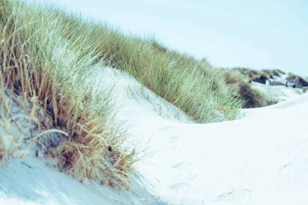 Fotografie Duny Bílé Písečné Pláže Německém Pobřeží Baltského Moře — Stock fotografie