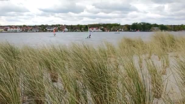 Відео Вітрильників Бортах Балтійського Моря Піщані Дюни Трава Тремтять Передньому — стокове відео