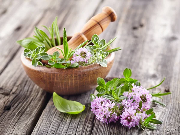 Frische Kräuter auf einem hölzernen Hintergrund — Stockfoto