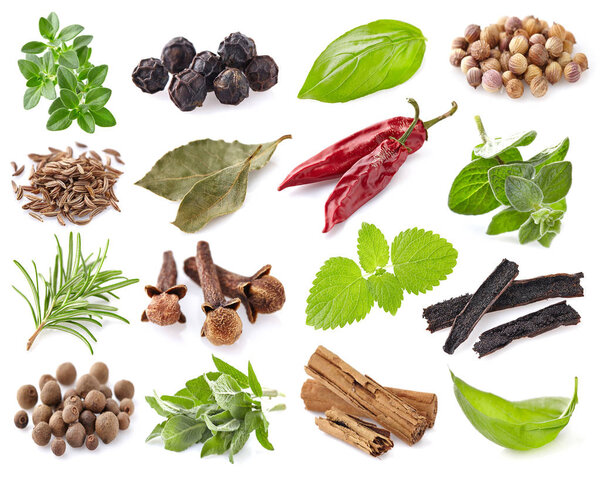 специи и травы на белом фоне