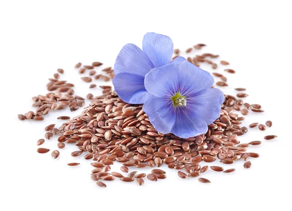 Flax with flowers — Stock Photo, Image