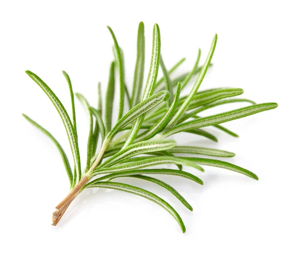 Rosemary spice on a white background — Stock Photo, Image