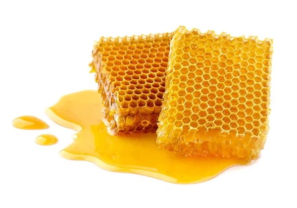 Favos de mel em close-up — Fotografia de Stock