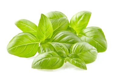 Fesleğen yaprakları yakın planda