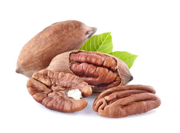 Pecan dengan daun — Stok Foto