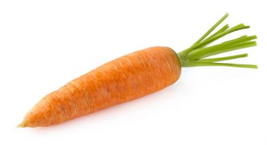 One fresh carrot clipart