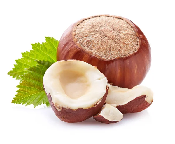 yaprakları ile fındık