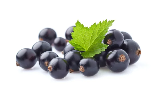 Ягоди чорної смородини з листям — стокове фото