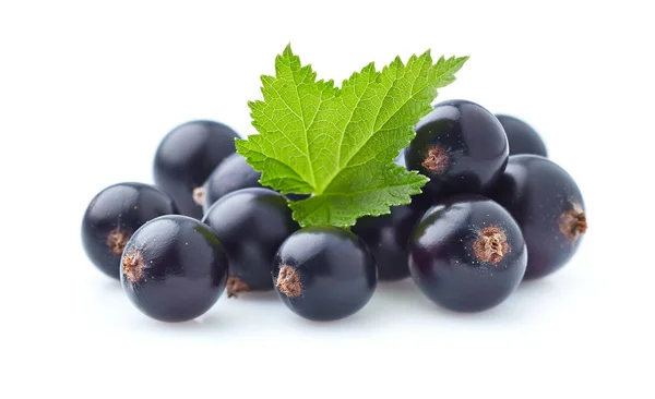 Blackcurrant with leaves — Stock Photo, Image
