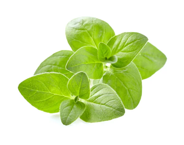 Oregano Lämnar Vit Bakgrund — Stockfoto