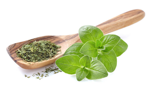 Oregano spices on white background