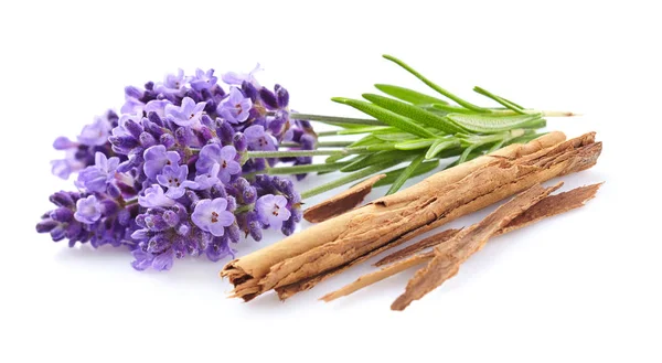 Lavanda con canela —  Fotos de Stock