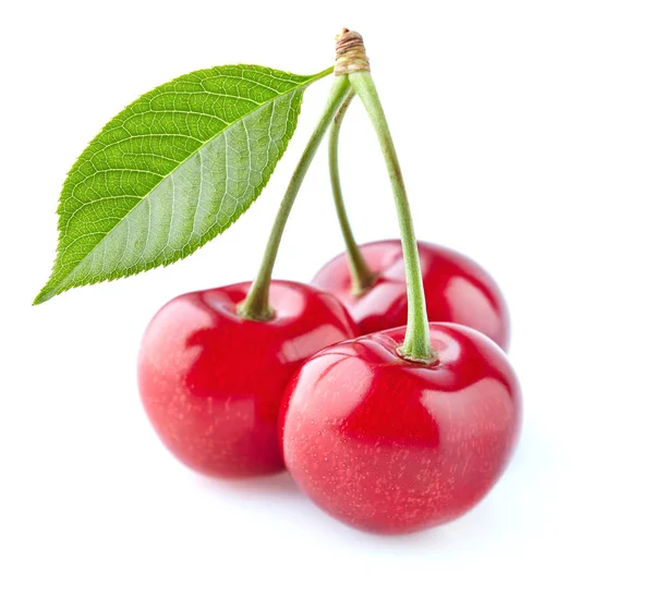 Cherry with leaves — Stock Photo, Image