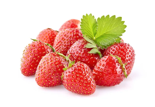 Wild Strawberry Closeup — Stock Photo, Image