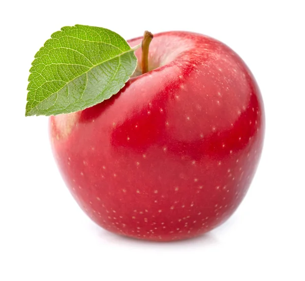 One apple with leaf — Stock Photo, Image