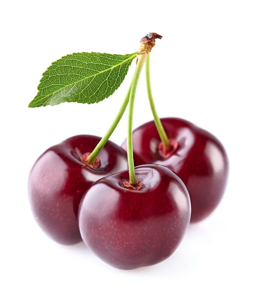 Cherry with leaves — Stock Photo, Image