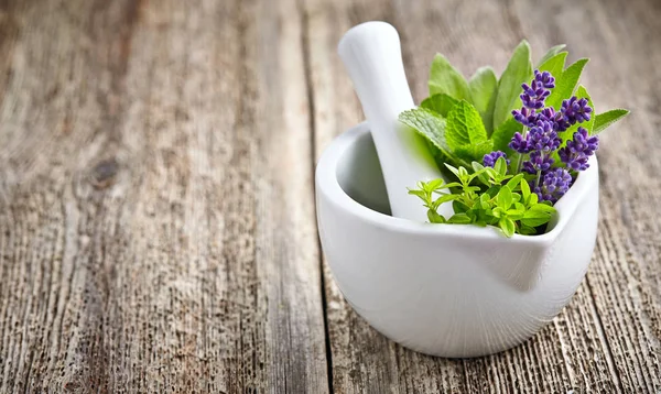 Médecine herbes fraîches au mortier blanc — Photo