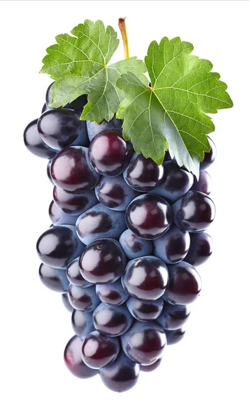 Uvas vermelhas com folhas — Fotografia de Stock