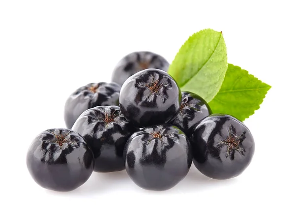 Chokeberry con foglia.Black ashberry — Foto Stock