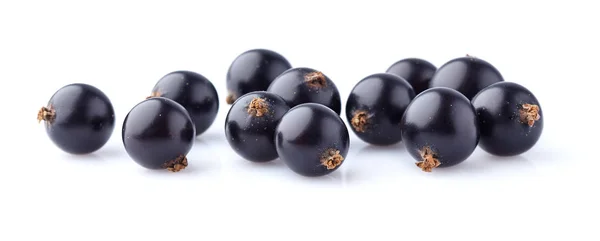 Owoce Czarnej Porzeczki Zbliżenie — Zdjęcie stockowe