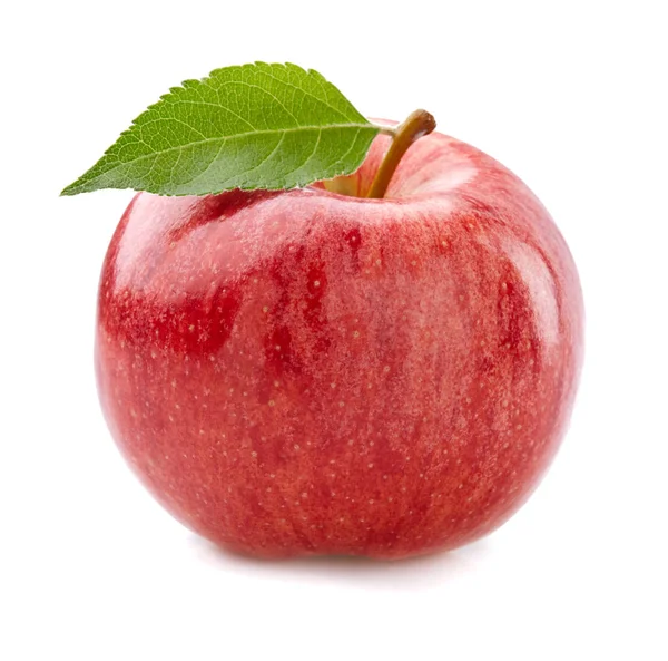 Red Apple Leaf — Stock Photo, Image