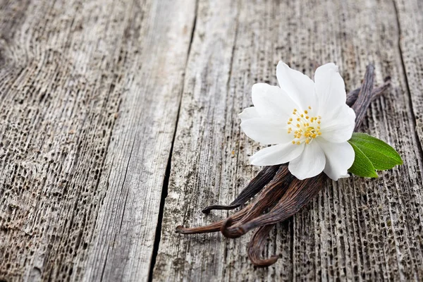 Jasmijn met vanille op een houten bord — Stockfoto