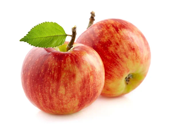 Яблоки Листьями Крупным Планом — стоковое фото