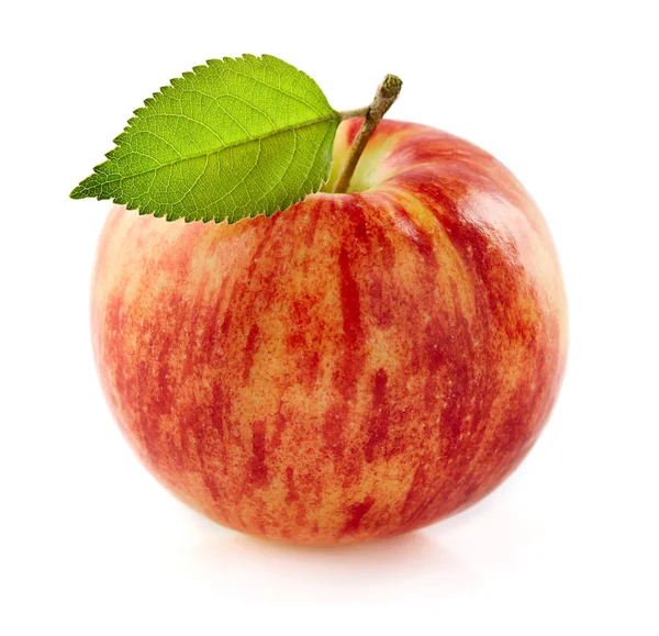 One Ripe Apple Closeup — Stock Photo, Image