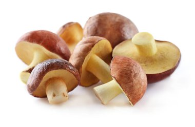 Beyaz bir arka planda mantar