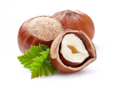 yaprakları ile fındık