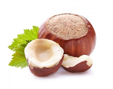 Fındık ceviz yaprağı