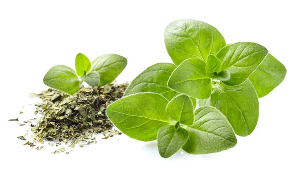 Oregano kryddor i närbild — Stockfoto