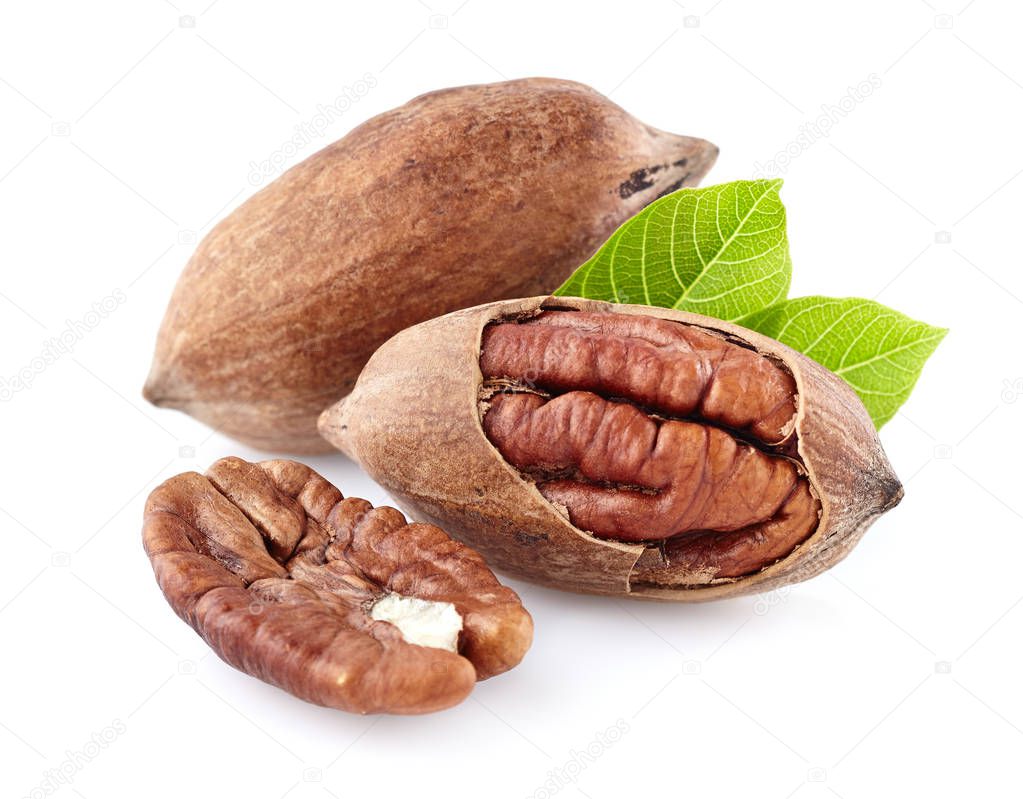 Pecan nuts with leaf