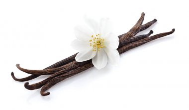 Yasemin closeup vanilya ile