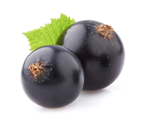 Blackcurrant Closeup Yaprakları Ile Yapılan — Stok fotoğraf