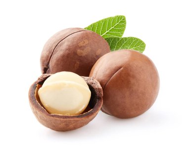 Macadamia fındıkları beyaza yakın çekim