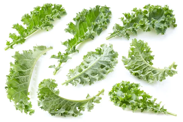 Collage Kale Leaves — Stock Photo, Image