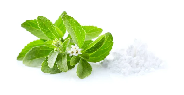 Stevia Pflanze Rebaudiana Mit Puder Auf Weißem Hintergrund — Stockfoto