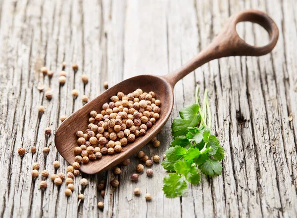 Semillas Hojas Cilantro Sobre Fondo Madera — Foto de Stock