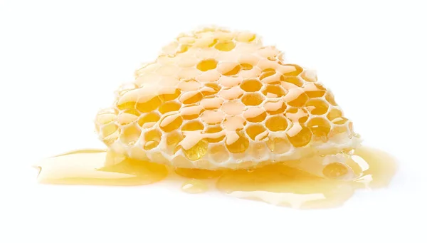Honingraat Witte Achtergrond — Stockfoto