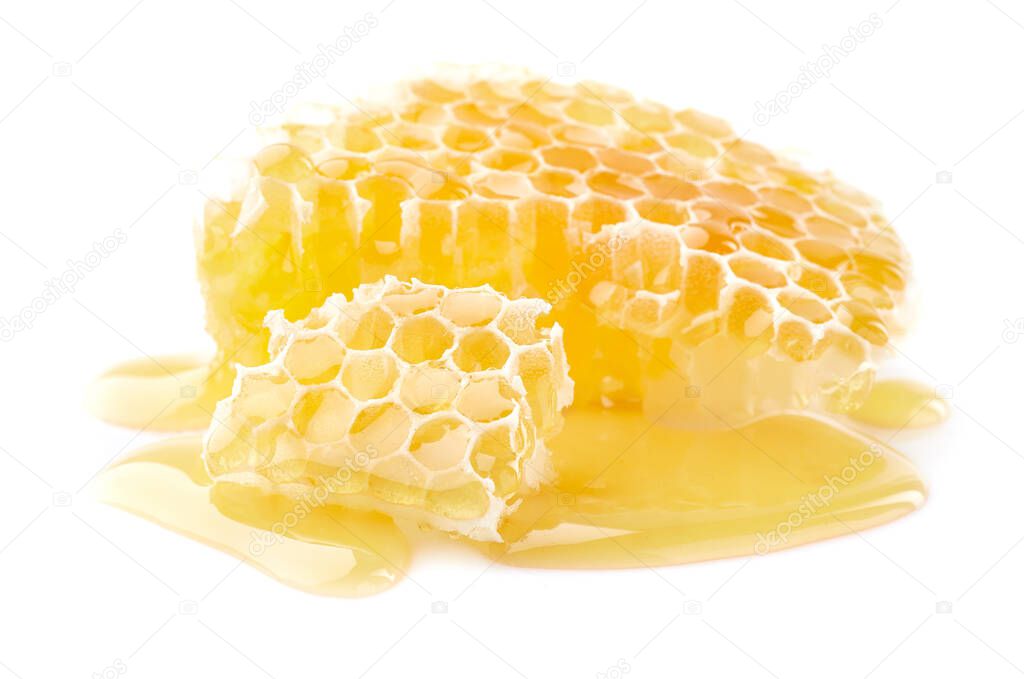 Wild honeycomb on white background