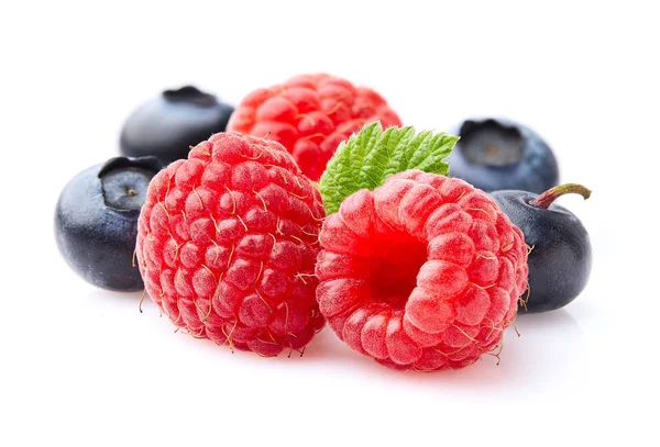 Raspberry Blueberry Leaf — Stock Photo, Image