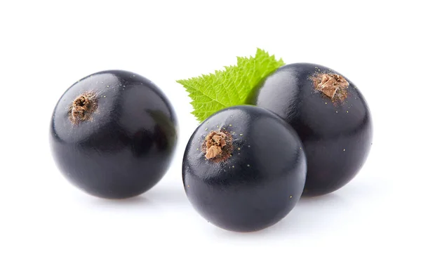 Black Currant Berry Isolated White Background — Stock Photo, Image