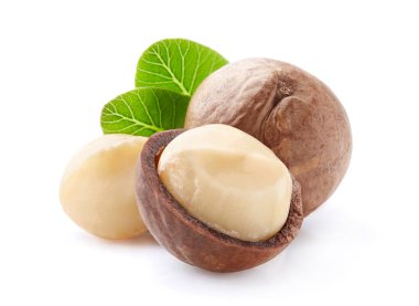 Macadamia fındıkları ve yakından yaprakları.