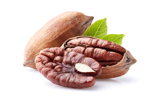 Pecan Nuts Leaves White Background — Stock Photo, Image