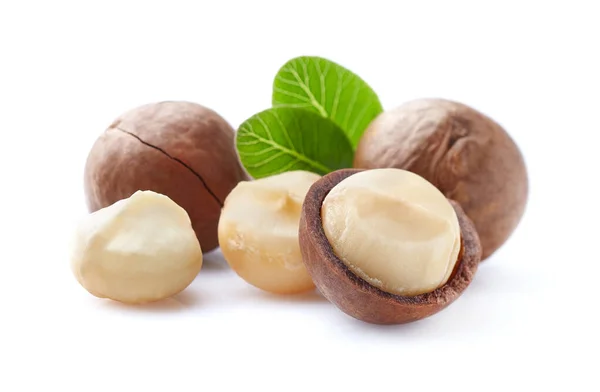 Nueces Macadamia Con Hojas Sobre Fondo Blanco — Foto de Stock