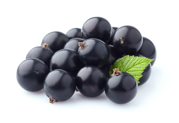 Ribes Nero Con Foglia Isolata Fondo Bianco — Foto Stock