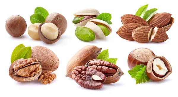 Nuts Collage White Background — Stock Photo, Image